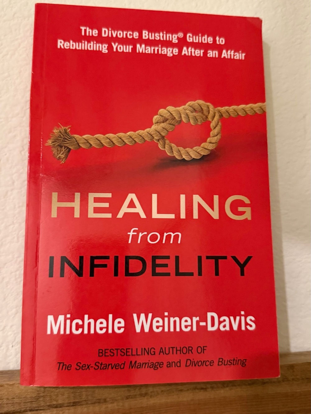 Healing from Infidelity by - Red Cover